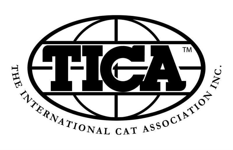 Logo TICA 2025