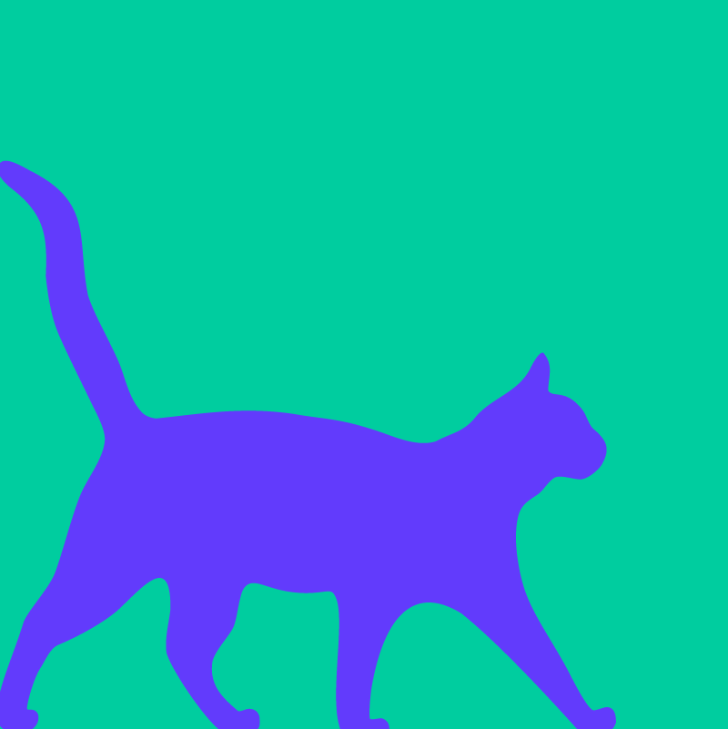 Automnales 2025 - Emotion - Feline