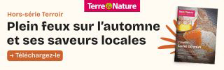 Terre & Nature - Banner Automnales 2025 - 320x100px