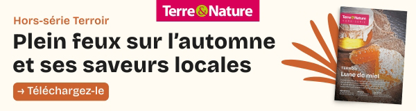 Terre & Nature - Banner Automnales 2025 - 600x160px