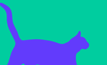 Automnales 2025 - Emotion - Feline