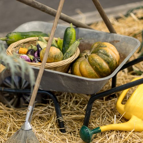 Green City Forum - Automnales Market 2025 (C) Pierre Albouy