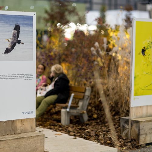 Green City Forum - Automnales Market 2025 (C) Pierre Albouy