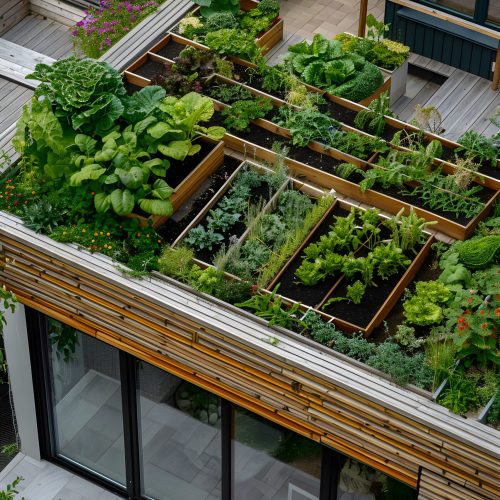 Green City Forum – Automnales 2025 Green City Forum - Automnales 2025